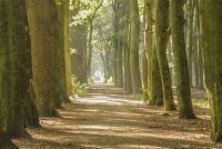 Licht-op-Rouw_Cursuscentrum-de-Schans