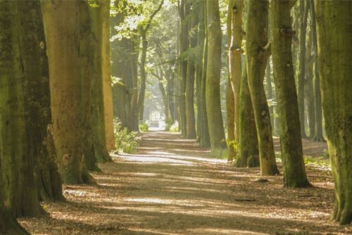 Licht-op-Rouw_Cursuscentrum-de-Schans