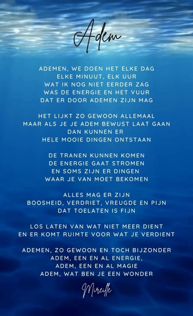 NWSB_202309_Ademen-tekst_CursuscentrumdeSchans