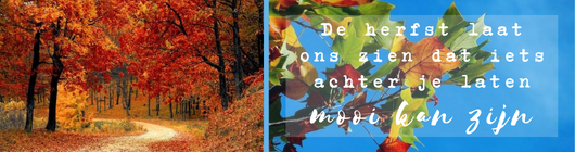 Quote_Herfst_CursuscentrumdeSchans